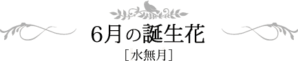 6月の誕生日 水無月