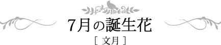 7月の誕生日 文月