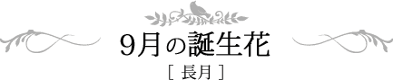 9月の誕生日 長月
