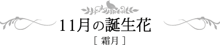 11月の誕生日　霜月