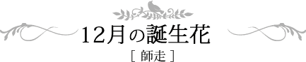 12月の誕生日 師走