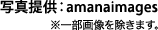 写真提供:amanaimages