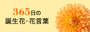 365日の誕生花・花言葉