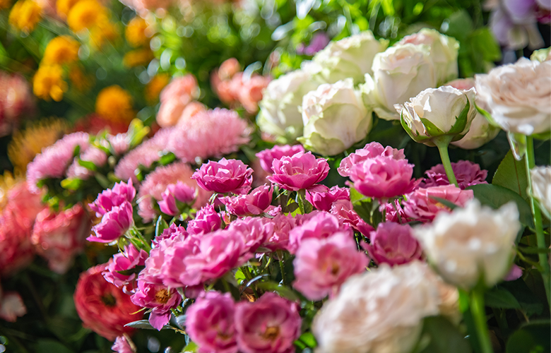 長年のノウハウによるバイヤー仕入れ