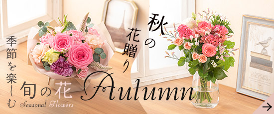 旬の花特集