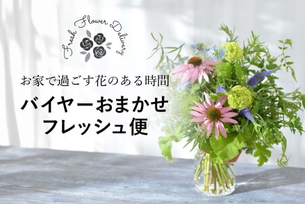 バイヤーおまかせフレッシュ便