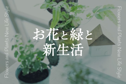 お花と緑と新生活