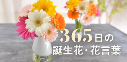 365日の誕生花・花言葉