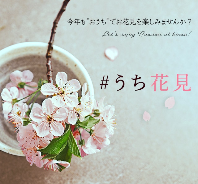 うち花見