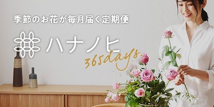FLOWER STORY