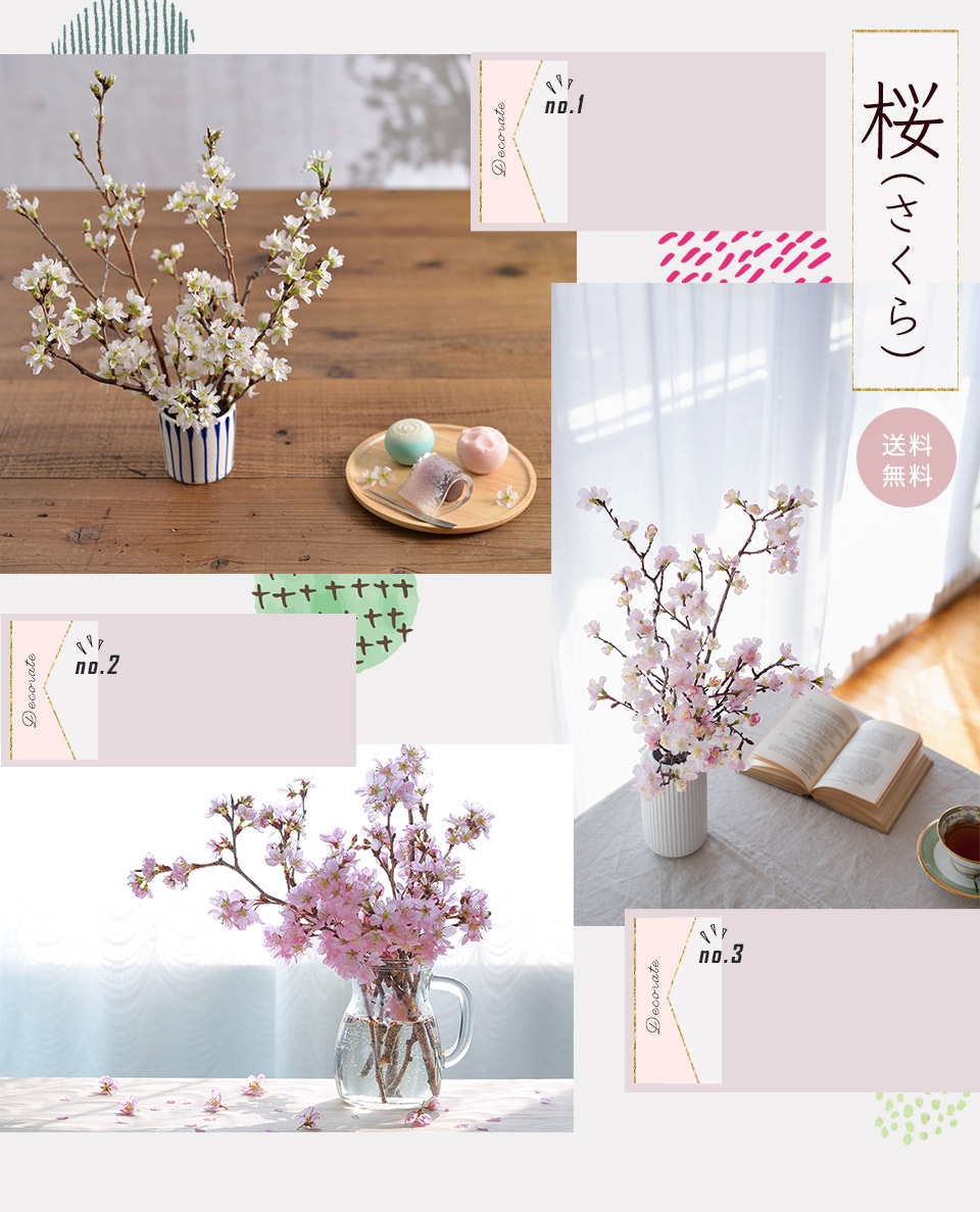 桜（さくら）