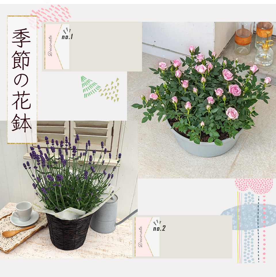 季節の花鉢