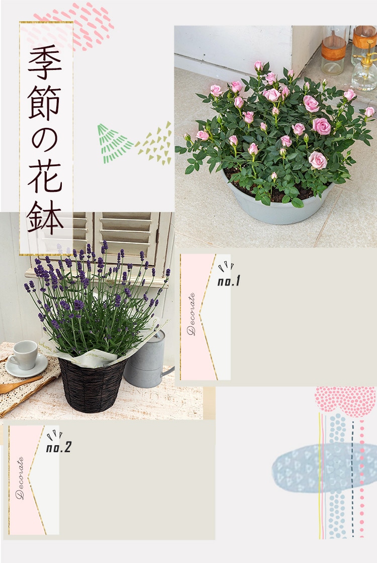 季節の花鉢
