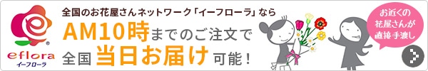 イーフローラ