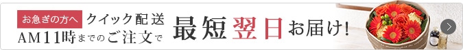 お急ぎの方はこちら午前11時までのご注文で、最短翌日お届け