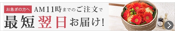 お急ぎの方はこちら午前11時までのご注文で、最短翌日お届け