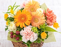 旬の花特集