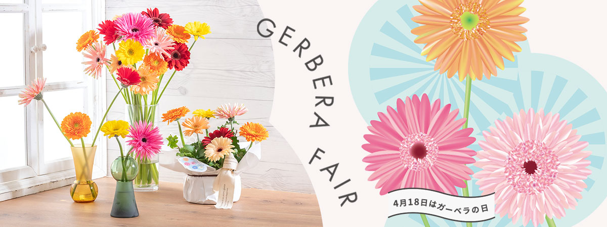 ガーベラフェア特集