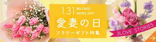 愛妻の日特集