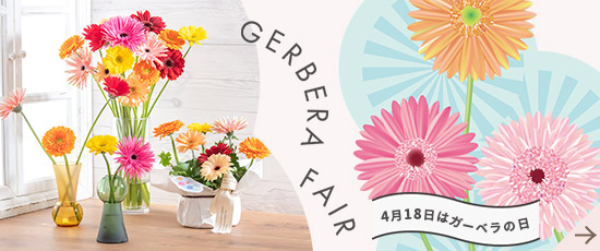 ガーベラフェア特集