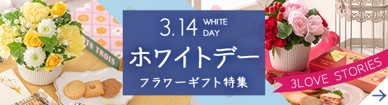 ホワイトデー特集