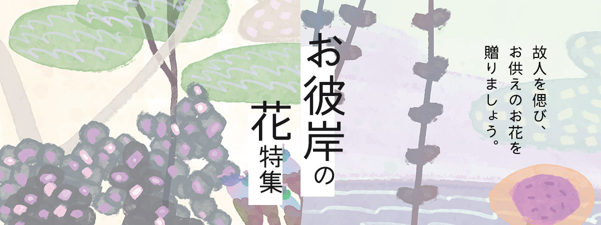 お彼岸の花特集