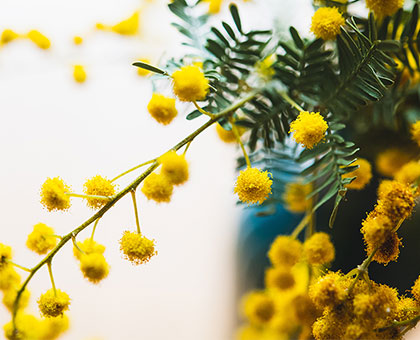 HAPPY WOMAN FESTA 2026