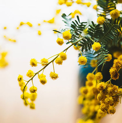 HAPPY WOMAN FESTA 2025