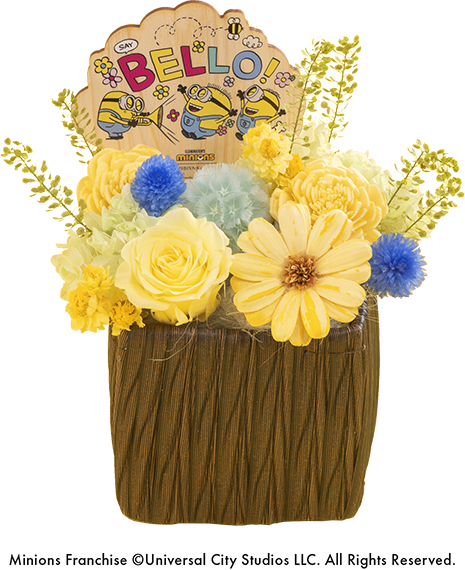 プリザーブドフラワーアレンジメント「BELLO!」