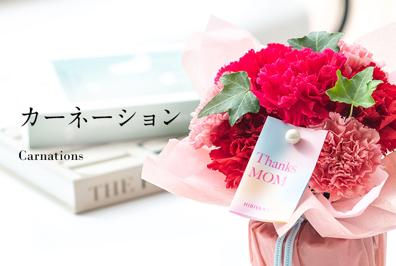 【2025】母の日 花ギフト・プレゼント　カーネーションギフト特集