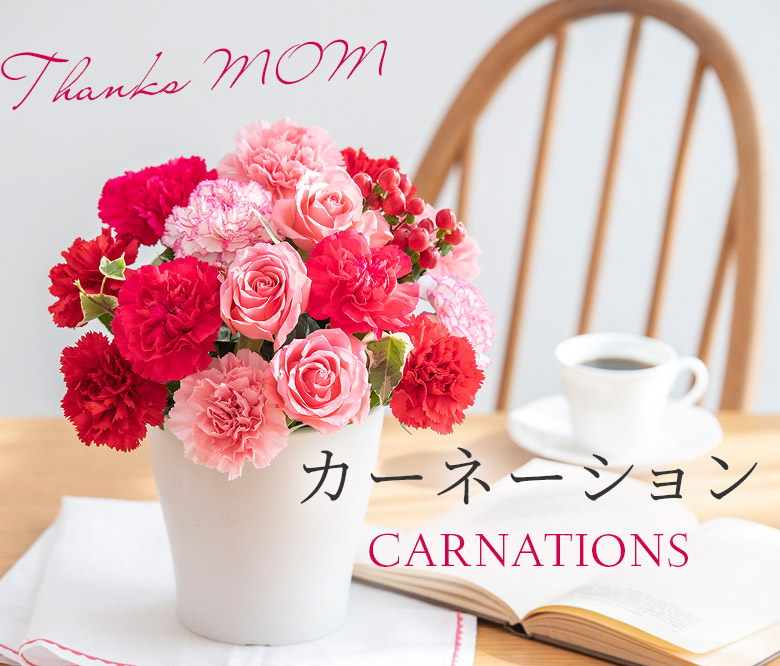 カーネーション