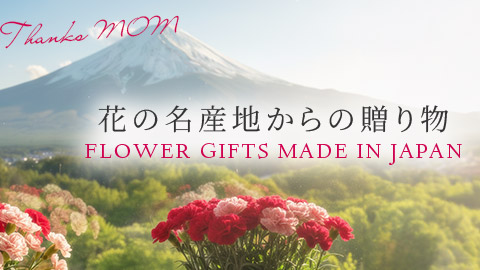 花の名産地からの贈り物