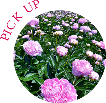 JA中野｜長野県