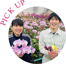 日野洋蘭園|鹿児島県