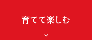 育てて楽しむ