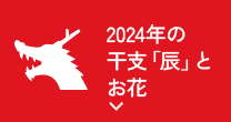 2024年の干支「辰」とお花