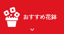 おすすめ花鉢