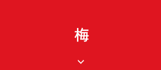 梅