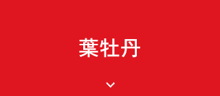 葉牡丹