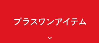 プラスワンアイテム