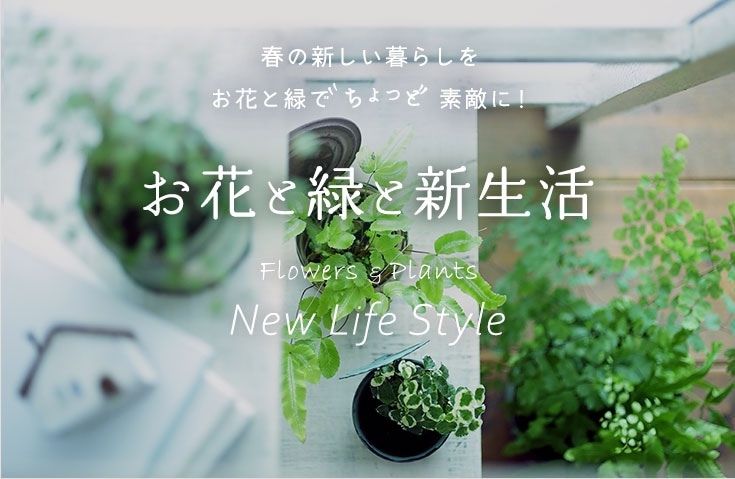 お花と緑と新生活