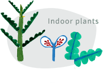 Indoor plants
