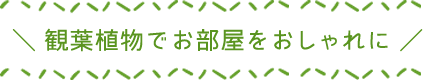 観葉植物でお部屋をおしゃれに