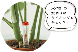 水位計で水やりのタイミングをチェック！