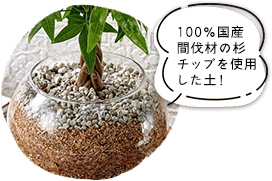 100%国産間伐材の杉チップを使用した土！