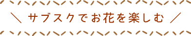 サブスクでお花を楽しむ