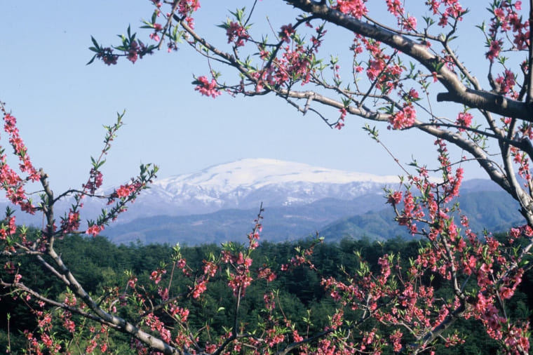 富士吉田市
