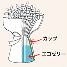 推しポイント
