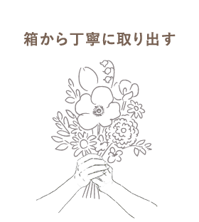 箱から丁寧に取り出す