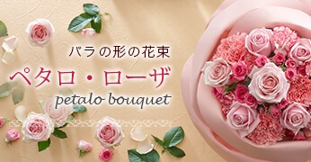 ペタロ・ローザ